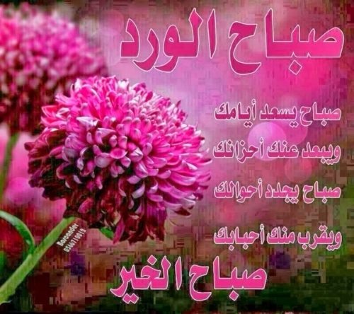 شعر صباح الخير - اروع اشعار الصباح 3639 6