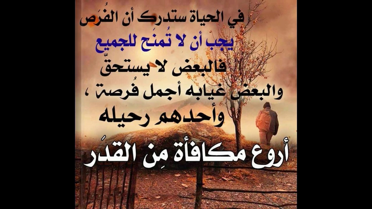 حكم جميلة عن الحياة 343 10