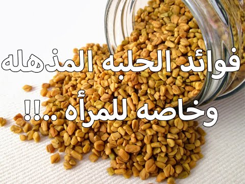 فوائد الحلبة - من اهم الفؤ ائد لنبات الحلبة 1485 1