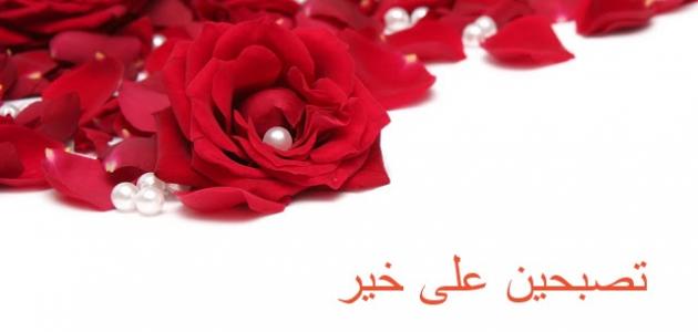 تصبح على خير حبيبي - كلام تصبح علي خير 3656 7