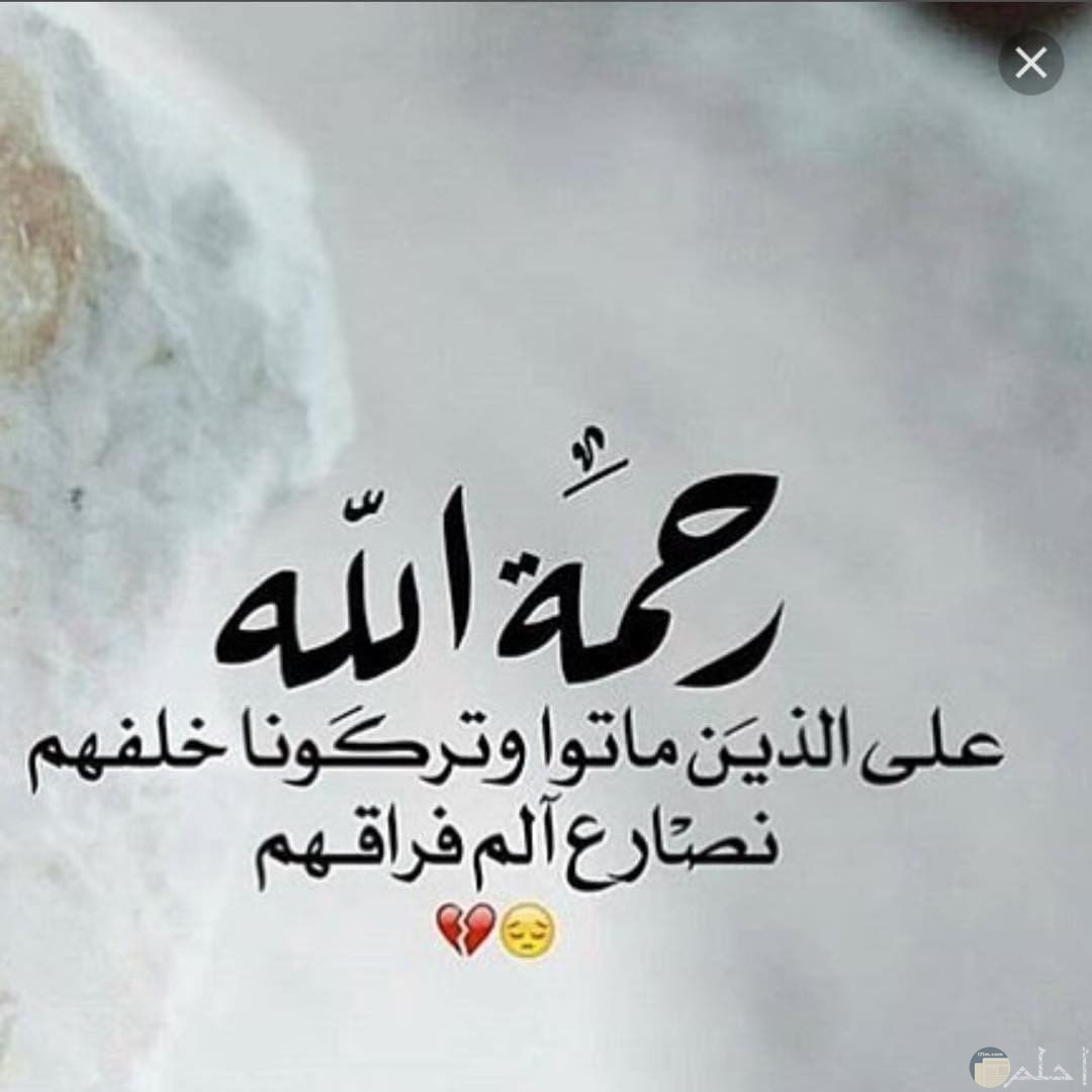 كلمات معبرة من الفيس بوك 8176 7