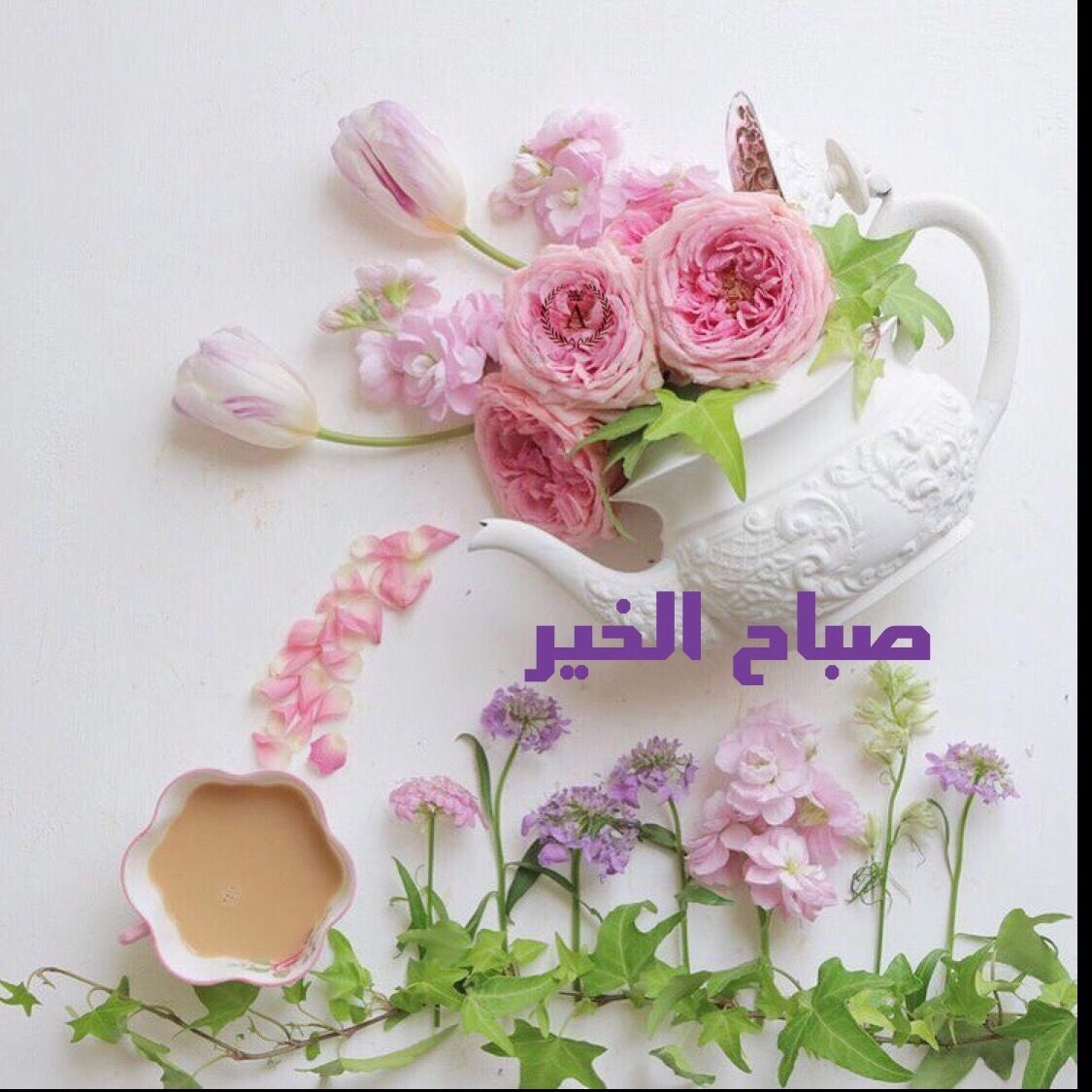 زهور الكلمات 1149 3