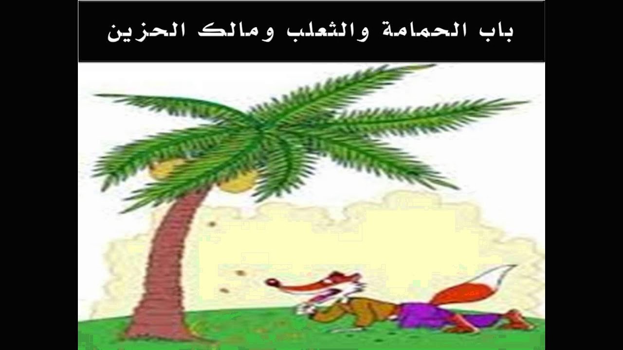 باب الحمامة والثعلب ومالك الحزين-قصص اطفال جديده اوي 7930 1