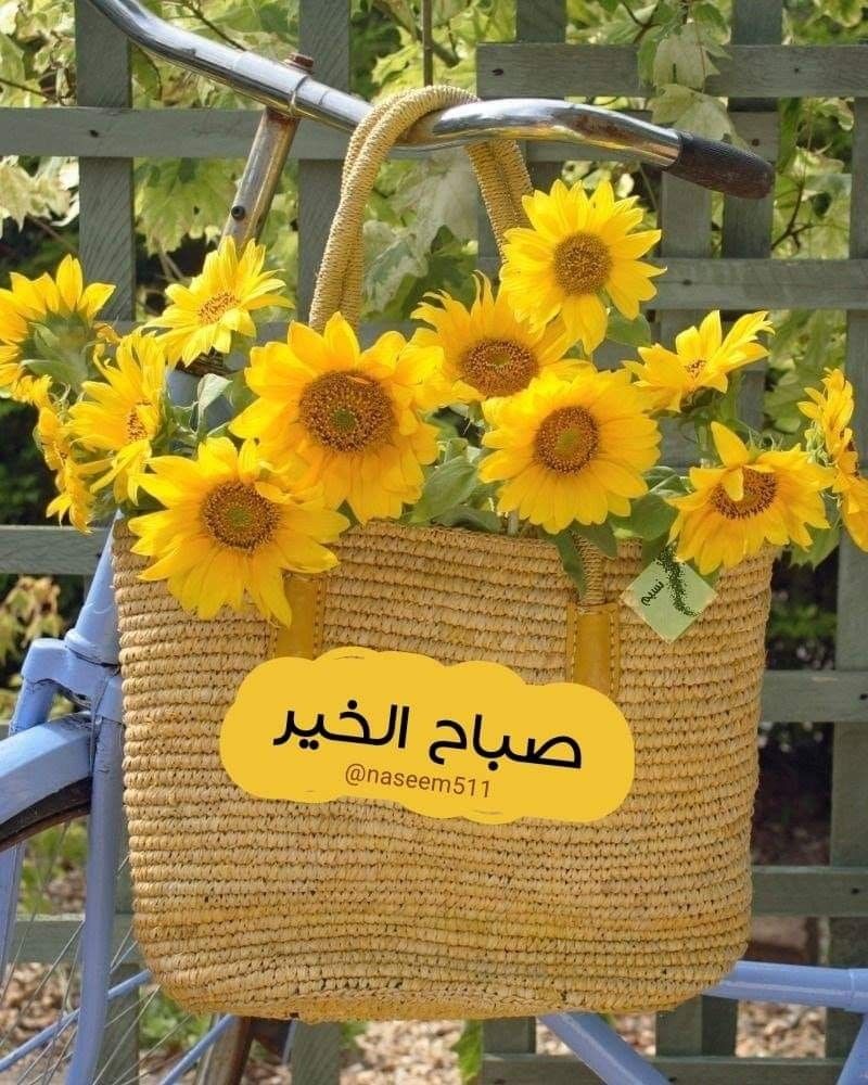 صباح الورد للورد- من اجمل مافي الصباح 2933 11