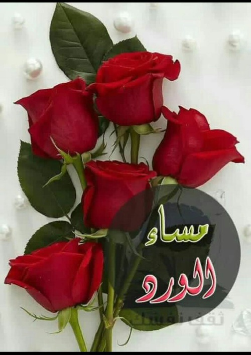 صور مساء الورد - رسائل مسائية للاصدقاء 3893 3