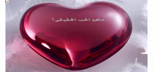 2067 مفهوم الحب - المعنى الحقيقى للحب شوق الرياض