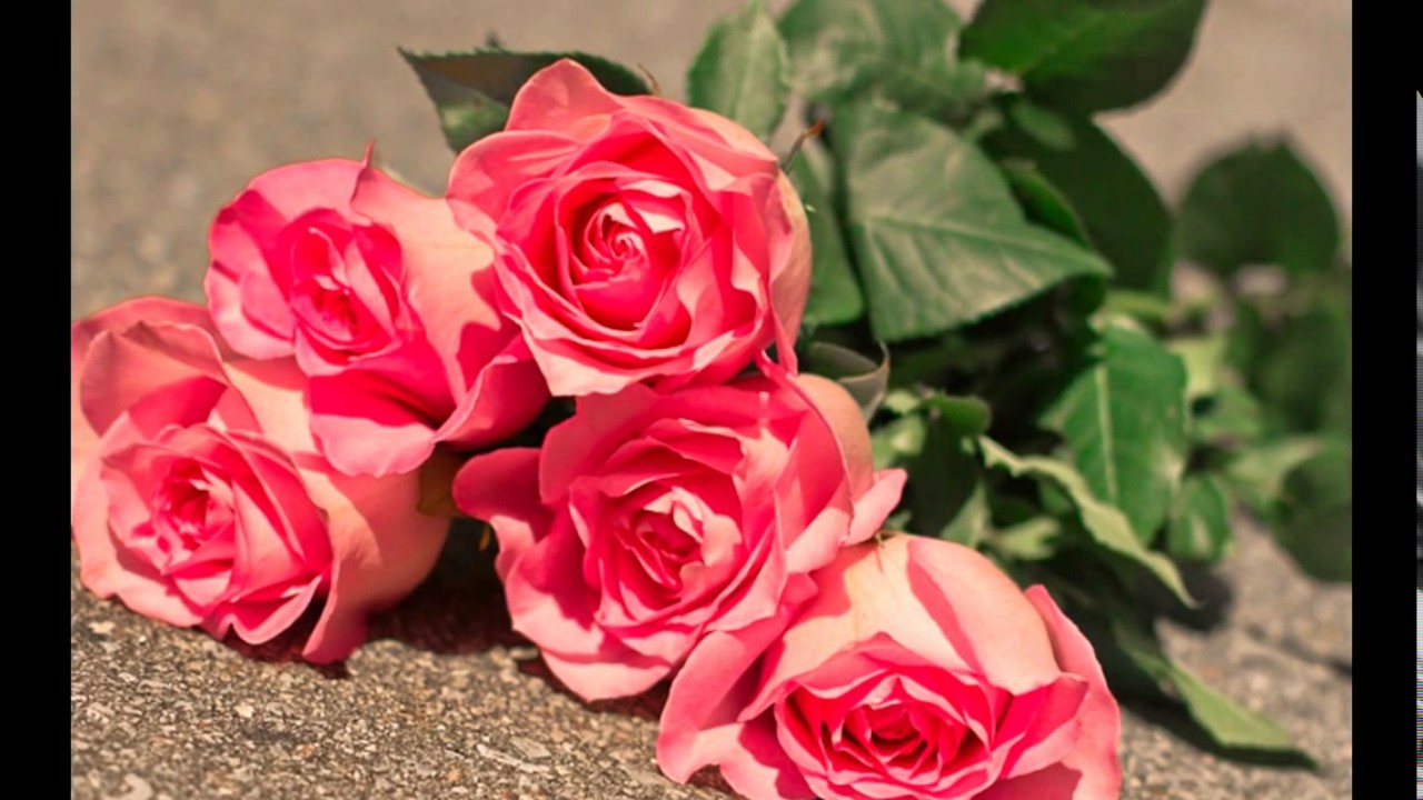 3756 ورود جميلة - صور باقات متنوعة من الورود عشقي مصر