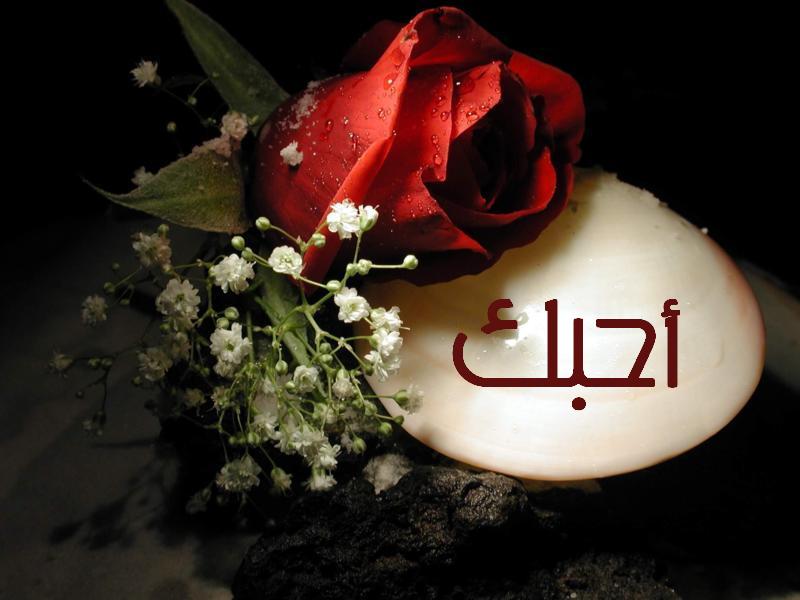 1538 5 صور عن الحب - اجمل صور عن المشاعر والحب نسايم السعودية