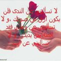 2392 10 رسائل حب وغرام - اجمل الرسائل الغرامية شوق الرياض