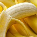 8093 3 فوائد الموز للقولون العصبي معتاد