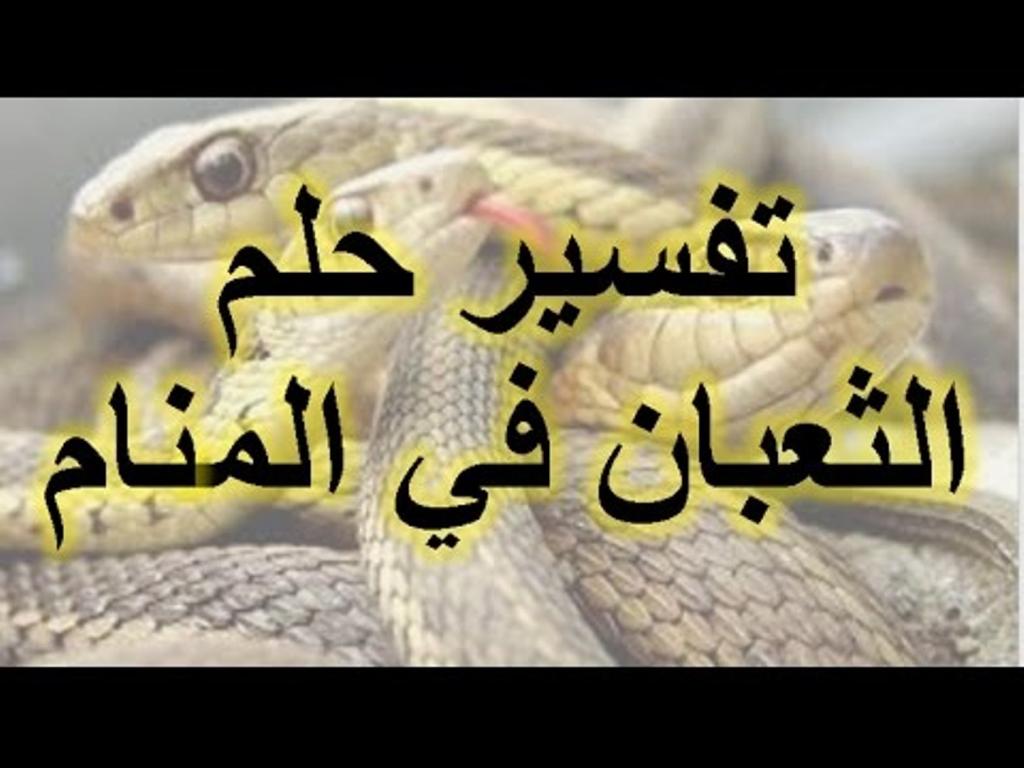 2951 2 رؤية الافعى في المنام- تفسير حلم الحيه في المنام خالد