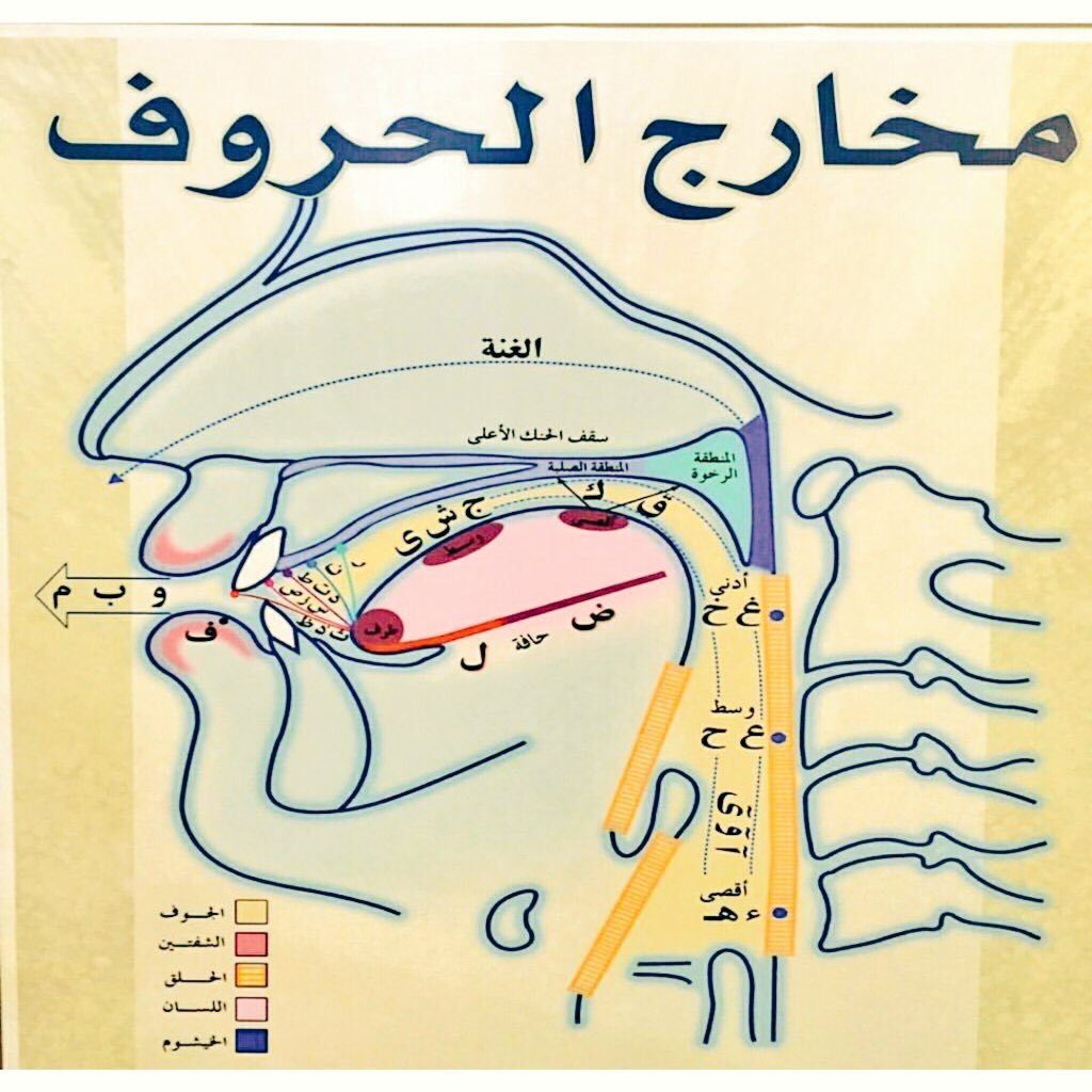 ما يجهله معظم الناس عن الكلام , رسم توضيحي لمخارج الحروف